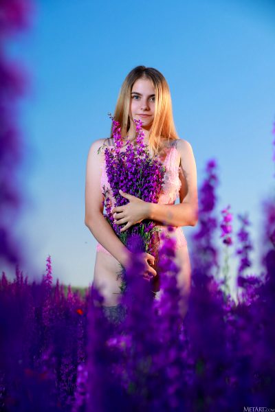 lavender-fields_003