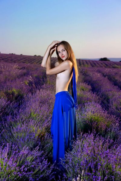 lavender-love_002